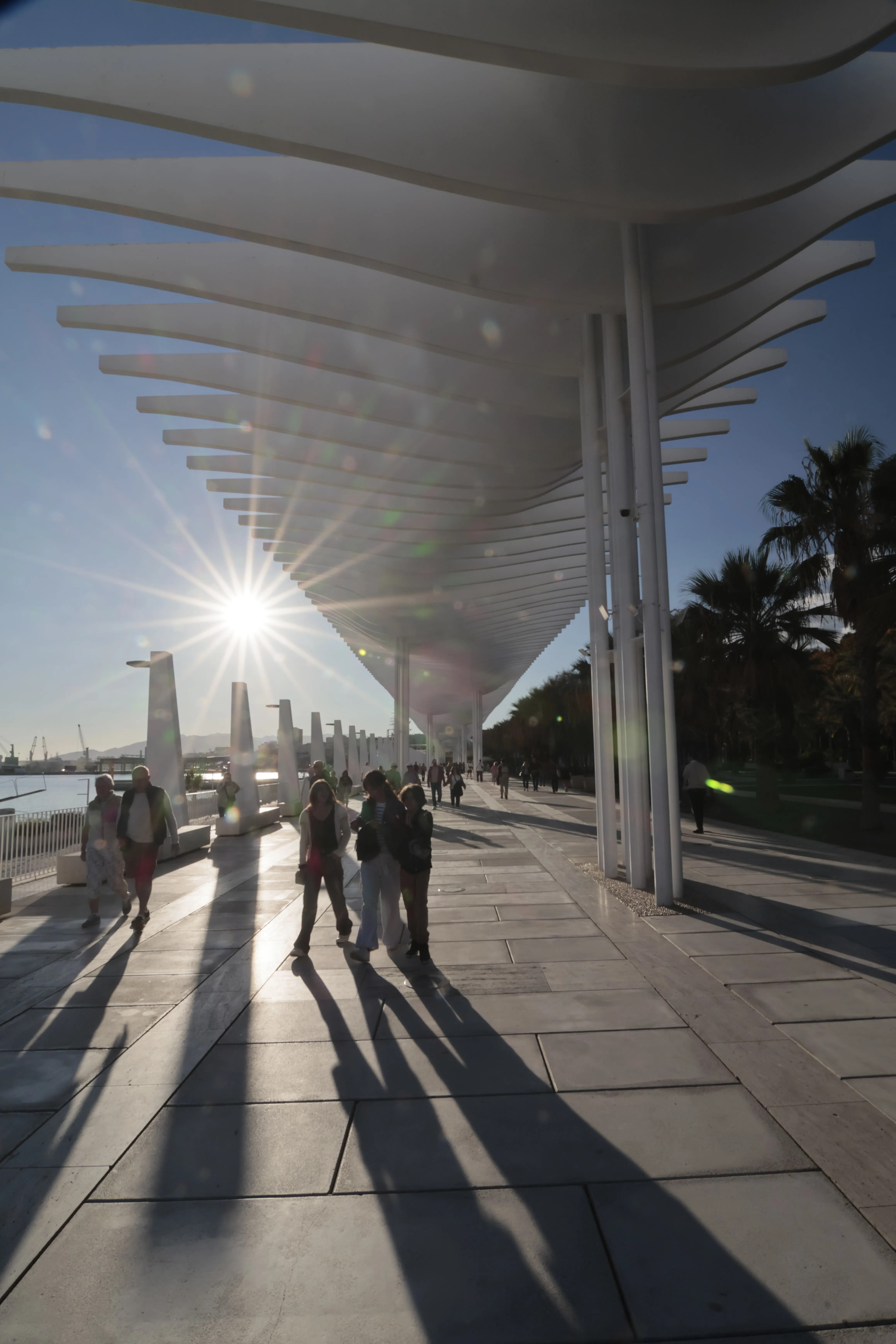 Tokina at-x 116 (EF) - _I4A1268.jpg